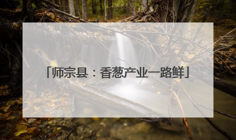 师宗县：香葱产业一路鲜