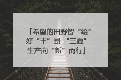希望的田野智“绘”好“丰”景 “三夏”生产向“新”而行