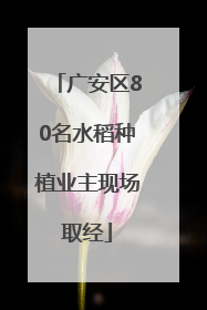 广安区80名水稻种植业主现场取经