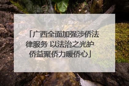 广西全面加强涉侨法律服务 以法治之光护侨益聚侨力暖侨心