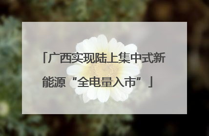 广西实现陆上集中式新能源“全电量入市”