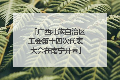 广西壮族自治区工会第十四次代表大会在南宁开幕