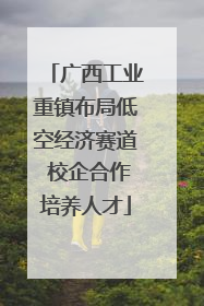 广西工业重镇布局低空经济赛道 校企合作培养人才