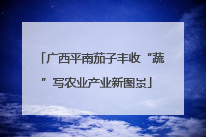 广西平南茄子丰收“蔬”写农业产业新图景
