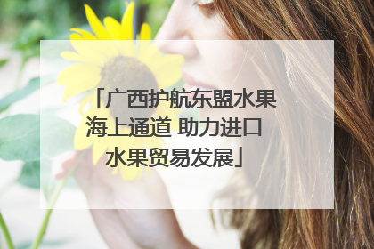 广西护航东盟水果海上通道 助力进口水果贸易发展
