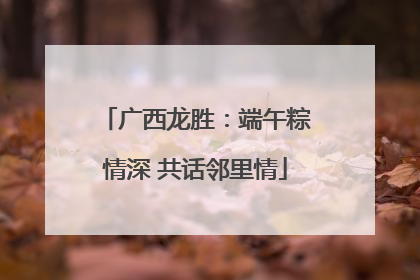 广西龙胜：端午粽情深 共话邻里情