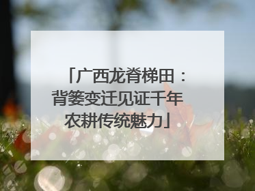广西龙脊梯田：背篓变迁见证千年农耕传统魅力