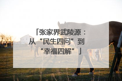 张家界武陵源：从“民生四问”到“幸福四解”