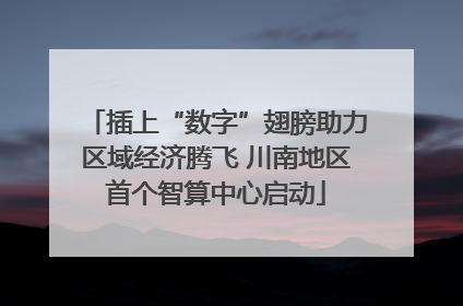 插上“数字”翅膀助力区域经济腾飞 川南地区首个智算中心启动