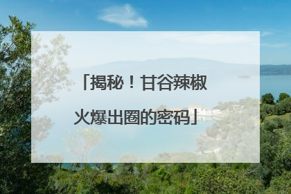 揭秘！甘谷辣椒火爆出圈的密码
