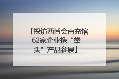 探访西博会南充馆 62家企业携“拳头”产品参展