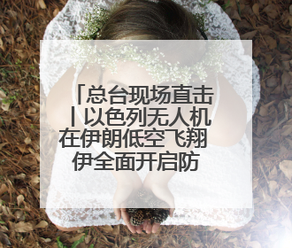 总台现场直击丨以色列无人机在伊朗低空飞翔 伊全面开启防空系统