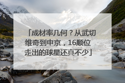 成材率几何？从武切维奇到申京，16顺位走出的球星还真不少