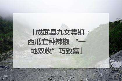 成武县九女集镇：西瓜套种辣椒 “一地双收”巧致富
