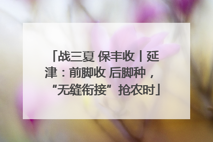 战三夏 保丰收丨延津：前脚收 后脚种，“无缝衔接”抢农时