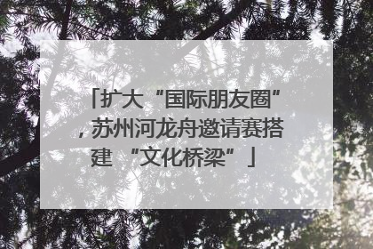 扩大“国际朋友圈”，苏州河龙舟邀请赛搭建 “文化桥梁”