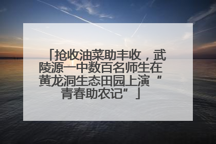 抢收油菜助丰收，武陵源一中数百名师生在黄龙洞生态田园上演“青春助农记”