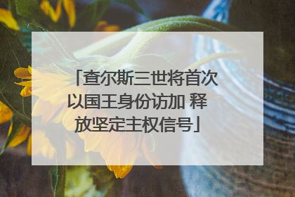 查尔斯三世将首次以国王身份访加 释放坚定主权信号