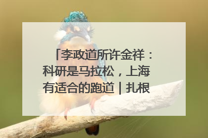 李政道所许金祥：科研是马拉松，上海有适合的跑道｜扎根上海，从0到1