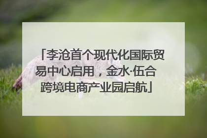 李沧首个现代化国际贸易中心启用，金水·伍合跨境电商产业园启航