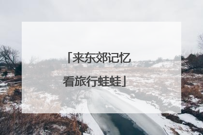 来东郊记忆 看旅行蛙蛙