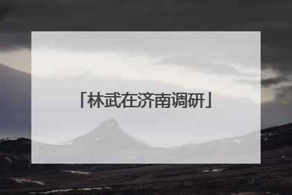 林武在济南调研