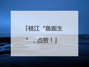 枝江“鱼医生”，点赞！