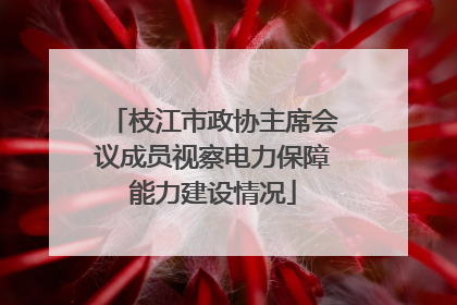 枝江市政协主席会议成员视察电力保障能力建设情况