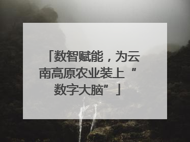 数智赋能，为云南高原农业装上“数字大脑”