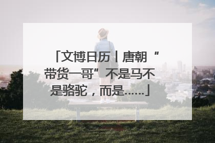 文博日历丨唐朝“带货一哥”不是马不是骆驼，而是……