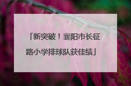 新突破！襄阳市长征路小学排球队获佳绩