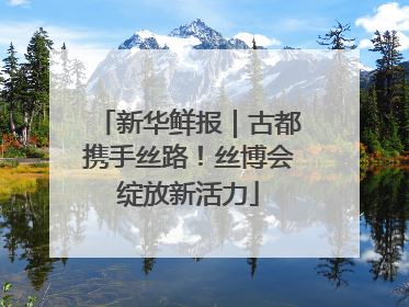 新华鲜报｜古都携手丝路！丝博会绽放新活力