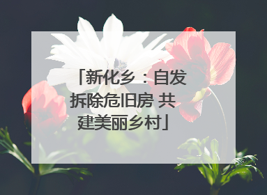 新化乡：自发拆除危旧房 共建美丽乡村