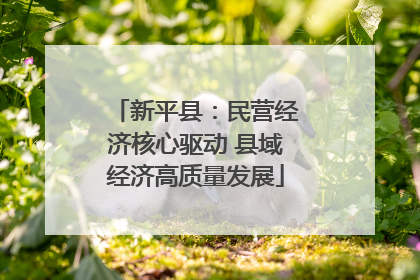 新平县：民营经济核心驱动 县域经济高质量发展