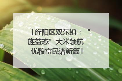 旌阳区双东镇：“旌益态”大米领航 优粮富民谱新篇