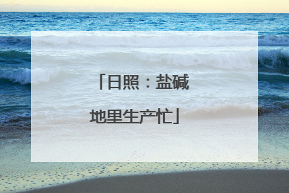 日照：盐碱地里生产忙