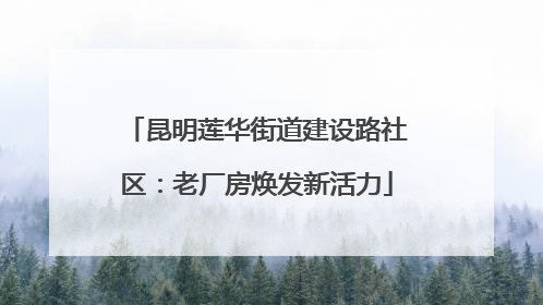 昆明莲华街道建设路社区：老厂房焕发新活力