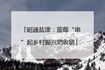 昭通盐津：蓝莓“串”起乡村振兴增收链
