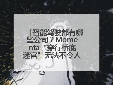 智能驾驶都有哪些公司？Momenta“穿行桥底迷宫”无法不令人印象深刻！