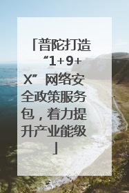 普陀打造“1+9+X”网络安全政策服务包，着力提升产业能级