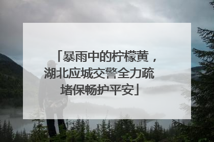 暴雨中的柠檬黄，湖北应城交警全力疏堵保畅护平安