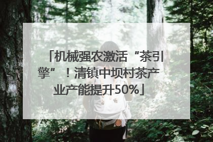 机械强农激活“茶引擎”！清镇中坝村茶产业产能提升50%
