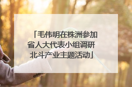 毛伟明在株洲参加省人大代表小组调研北斗产业主题活动