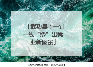 武功县：一针一线“绣”出就业新图景