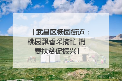 武昌区杨园街道：桃园飘香采摘忙 消费扶贫促振兴