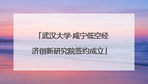 武汉大学·咸宁低空经济创新研究院签约成立