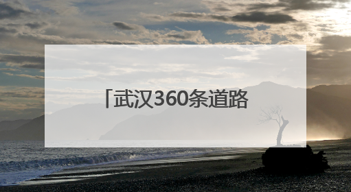 武汉360条道路上都有了！能救命
