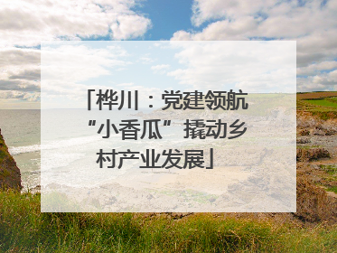 桦川：党建领航“小香瓜”撬动乡村产业发展