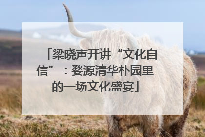 梁晓声开讲“文化自信”：婺源清华朴园里的一场文化盛宴