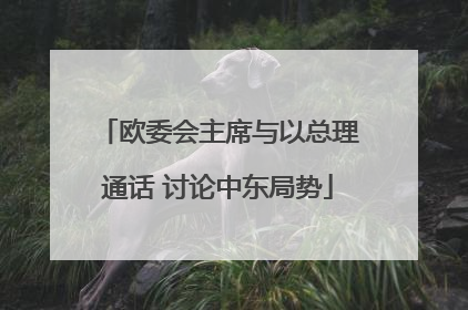 欧委会主席与以总理通话 讨论中东局势